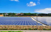 Chính phủ Nhật Bản kêu gọi tiết kiệm điện