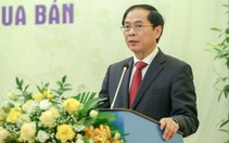 Hỗ trợ chi phí về nước cho nạn nhân bị mua bán, lừa đảo 'việc nhẹ lương cao' sang nước ngoài