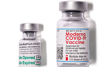 Moderna kiện Pfizer/BioNTech, cáo buộc 'chiếm đoạt' công nghệ vắc xin COVID-19