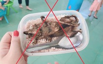 Xác minh thông tin 'học sinh vùng cao phải ăn cơm với thịt chuột'