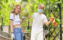 Đàm Vĩnh Hưng khoái chí khi được fan ghép ảnh ‘tình bể bình’ với Mỹ Tâm