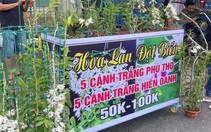 Ảnh vui 27-9: Lan đột biến - Gỡ được đồng nào hay đồng đấy!