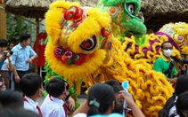 Ăn Tết ở thành phố