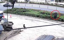 Chàng trai bị chó hù ngã vào bụi cây