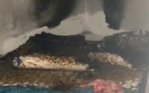 Cha phỏng nặng, con gái chết trong phòng ngủ cháy bốc mùi xăng