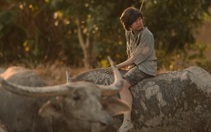 Để cho điện ảnh thở