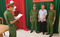 Khởi tố 3 người liên quan đến khai thác trái phép 56 cây gỗ rừng phòng hộ