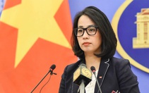 Việt Nam kêu gọi ngừng bắn ngay lập tức ở Dải Gaza