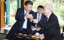 Việt Nam sẽ dành sự tiếp đón 'thắm tình hữu nghị, đồng chí anh em' cho ông Tập Cận Bình