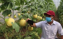 Đồng Nai đột phá trong đầu tư nông nghiệp công nghệ cao