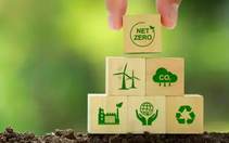 Việt Nam đang bán lúa non tín chỉ carbon giá bèo