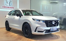 Loạt xe hybrid ra mắt Việt Nam năm 2023: Không có giá dưới 700 triệu đồng