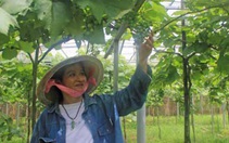 Đồng Nai đẩy mạnh phát triển nông nghiệp đô thị