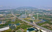 Cao tốc Bến Lức - Long Thành: 'Đại dự án lãng phí'
