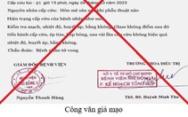 Giả chữ ký giám đốc và con dấu bệnh viện kêu gọi từ thiện, ký hợp đồng lao động
