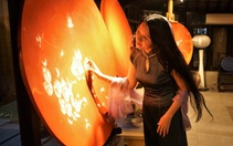 'Tháng ba Hàm Long' bên sông Sài Gòn