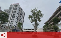 Đọc báo cùng bạn 2-3: Cần 'bộ ba' cho nhà ở xã hội