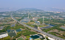 Bộ Giao thông vận tải phản hồi cử tri về cao tốc Bến Lức - Long Thành