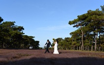 Gia Lai sẽ trình Thủ tướng thu hồi chủ trương đầu tư dự án sân golf Đak Đoa