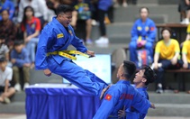 'Phát triển vovinam là gieo mầm văn hóa Việt'