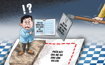 Cha mẹ cho em trai đất cấp cho hộ gia đình không hỏi ý kiến tôi được không?