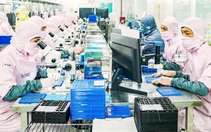 Thể chế và năng lực phản ứng chính sách