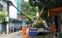 Điện lực Gia Định triển khai công tác đảm bảo cung cấp điện mùa nắng nóng