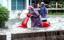 Còn vứt rác, chắc chắn còn ngập