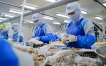 Đề nghị Trung Quốc sớm ký nghị định thư xuất khẩu thủy sản