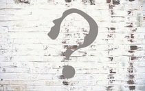 Bạn là người lạc quan, bi quan hay thực tế?
