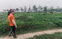 Bộ Tài nguyên xử phạt 53,9 tỉ, kiến nghị thu hồi hơn 5.600ha đất