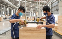 Kinh tế xanh trở thành luật chơi, không còn là hoạt động 'từ thiện'
