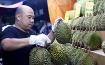 Xuất khẩu rau quả cao nhất lịch sử, cả năm đạt trên 5 tỉ USD?