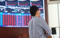 Nhà đầu tư 'vã mồ hôi' khi chứng khoán mất gần 60 điểm