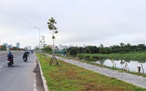 Nhiều kênh rạch quận 7 đang được làm sạch, đường được mở rộng