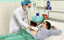 Rắn độc chui vào nhà cắn nhiều người nhập viện