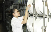 8/12 dự án thua lỗ, yếu kém được giao cho doanh nghiệp xử lý