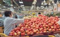 TP.HCM: Không để kịch bản kinh tế quý 1 năm 2023 lặp lại