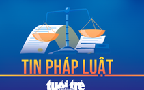 Cảnh sát Phú Yên bắt nhóm trộm 'nhí' ở Bình Định trộm 5 xe máy trong đêm