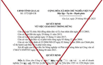 Điều tra vụ giả mạo văn bản giao gần 400ha đất cho doanh nghiệp trồng rừng