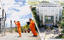 Vượt khó khăn, Công ty Điện lực Ninh Thuận “về đích” với nhiều kết quả tích cực