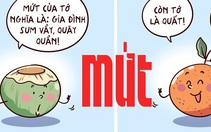 Loại trái cây không nên làm mứt Tết