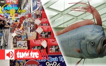 Điểm tin 18h: Giỏ quà Tết bình dân 'chiếm sóng'; Ngư dân Thái Lan bắt được 'cá động đất'
