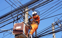 Công ty Điện lực Tây Ninh nỗ lực hoàn thành kế hoạch đầu tư xây dựng và sửa chữa lớn năm 2023