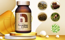 Fucoidan từ rong biển hỗ trợ nâng cao sức khỏe