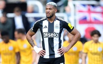 Sao Newcastle ‘van nài’ trộm đừng đột nhập nhà mình nữa