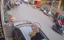 Ô tô vỡ toang cửa sổ trời vì bị khỉ rơi trúng