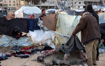 Ba trẻ em chết cóng khi tá túc trong lều trại ở Dải Gaza