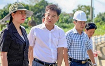 Bí thư Tỉnh ủy Quảng Ngãi kiểm tra, chỉ đạo xử lý sạt lở trên sông Trà Câu