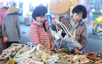 Hiến kế để Đà Lạt phát triển du lịch xanh: Cần thêm hỗ trợ pháp lý